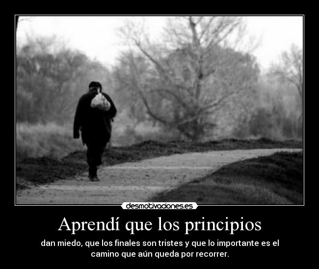 Aprendí que los principios -