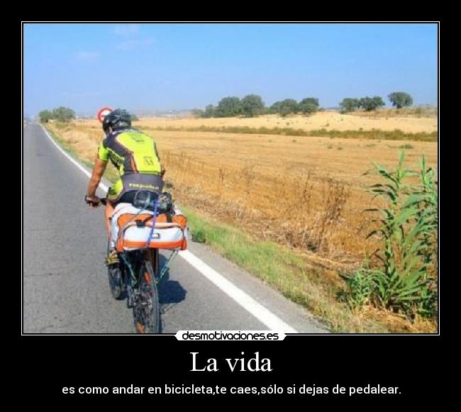 La vida - 