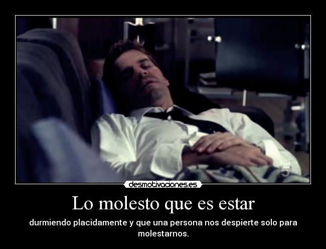 Lo molesto que es estar - durmiendo placidamente y que una persona nos despierte solo para molestarnos.