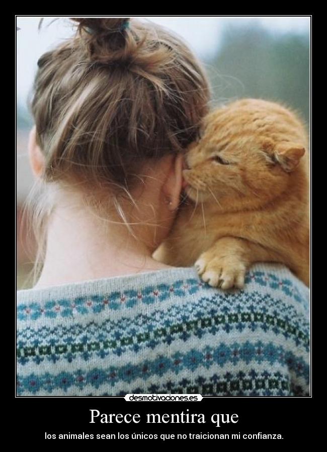 carteles mentira love musiic desmotivaciones