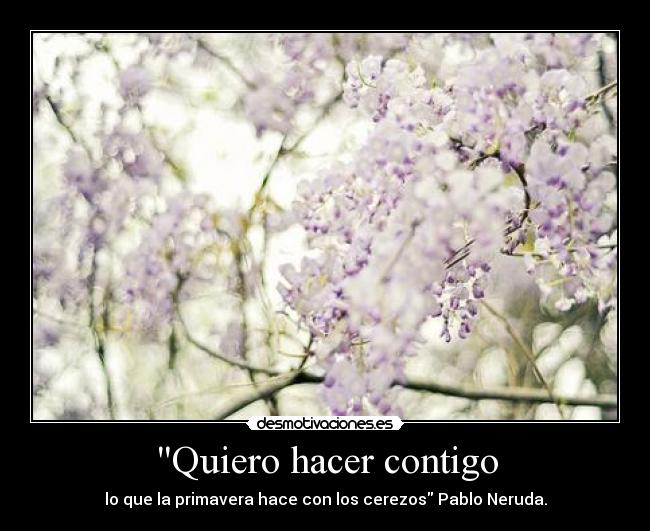 Quiero hacer contigo -