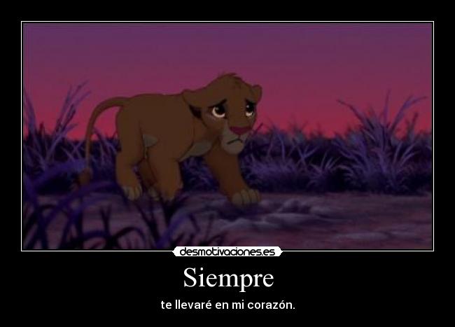 Siempre - 