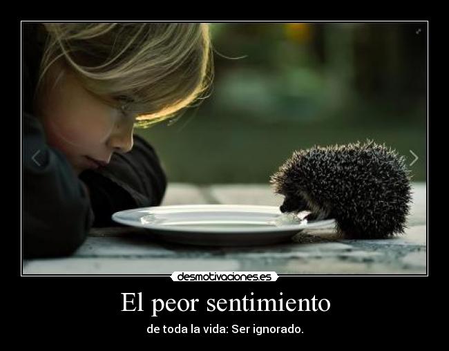 carteles beiita29 desmotivaciones