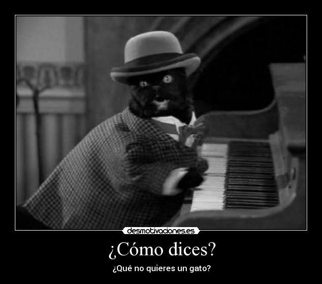 ¿Cómo dices? - 