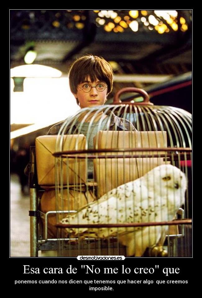 Esa cara de No me lo creo que - ponemos cuando nos dicen que tenemos que hacer algo que creemos imposible.