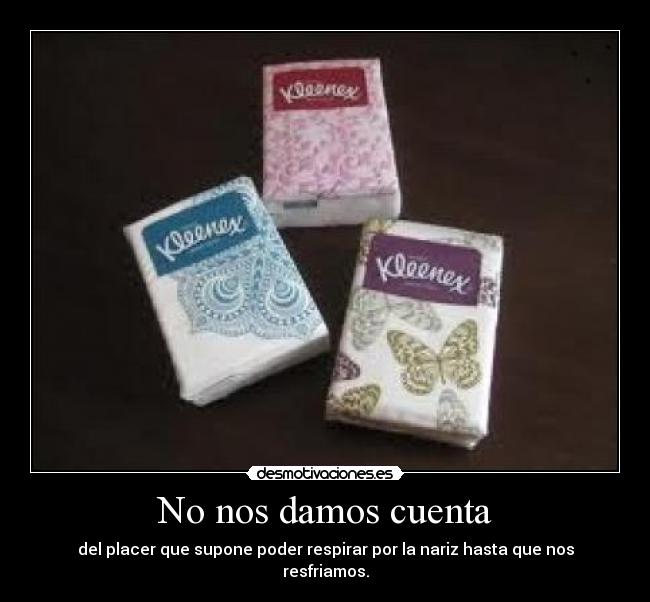 No nos damos cuenta - del placer que supone poder respirar por la nariz hasta que nos resfriamos.