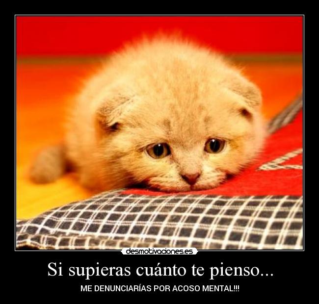 Si supieras cuánto te pienso... -