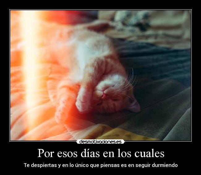 Por esos días en los cuales - Te despiertas y en lo único que piensas es en seguir durmiendo