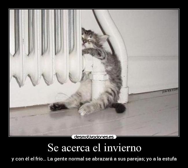 Se acerca el invierno - 