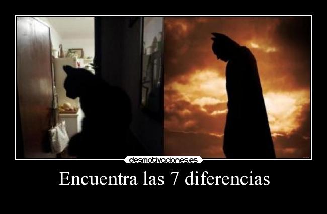 Encuentra las 7 diferencias - 