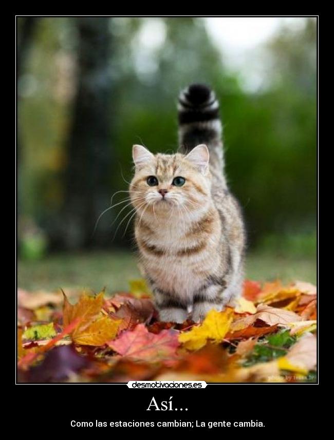 Así... - Como las estaciones cambian; La gente cambia.
