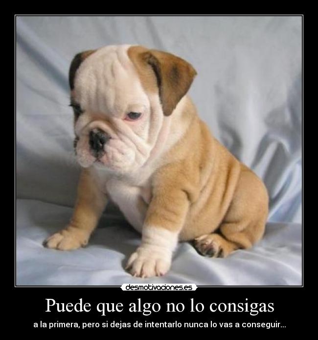 carteles rindas desmotivaciones