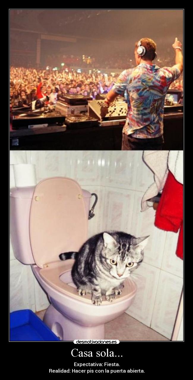 Casa sola... - Expectativa: Fiesta.
Realidad: Hacer pis con la puerta abierta.