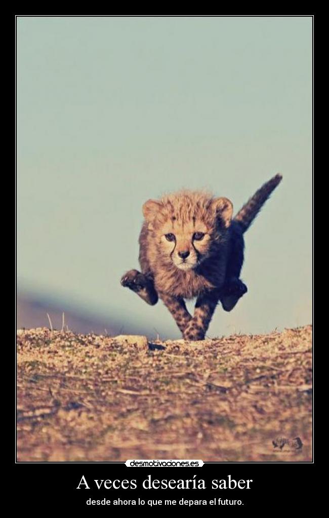 A veces desearía saber - 