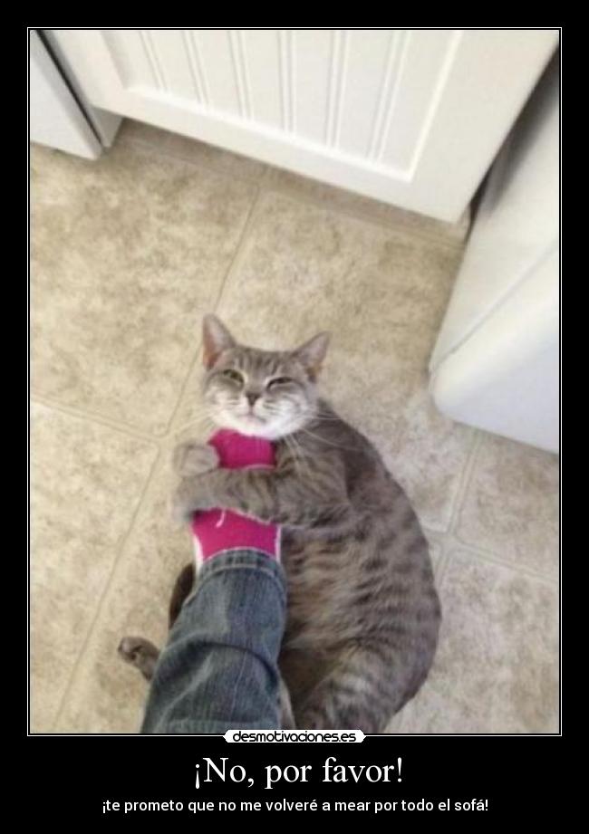 ¡No, por favor! -