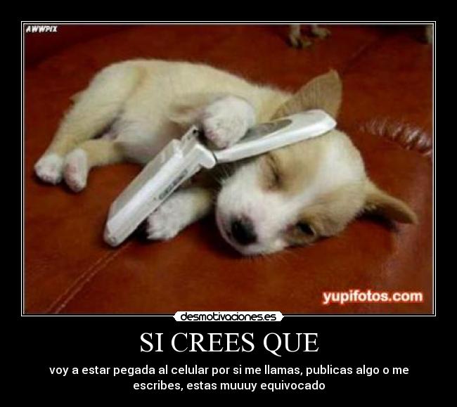 SI CREES QUE - voy a estar pegada al celular por si me llamas, publicas algo o me
escribes, estas muuuy equivocado