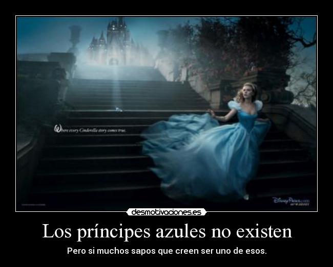 Los príncipes azules no existen -