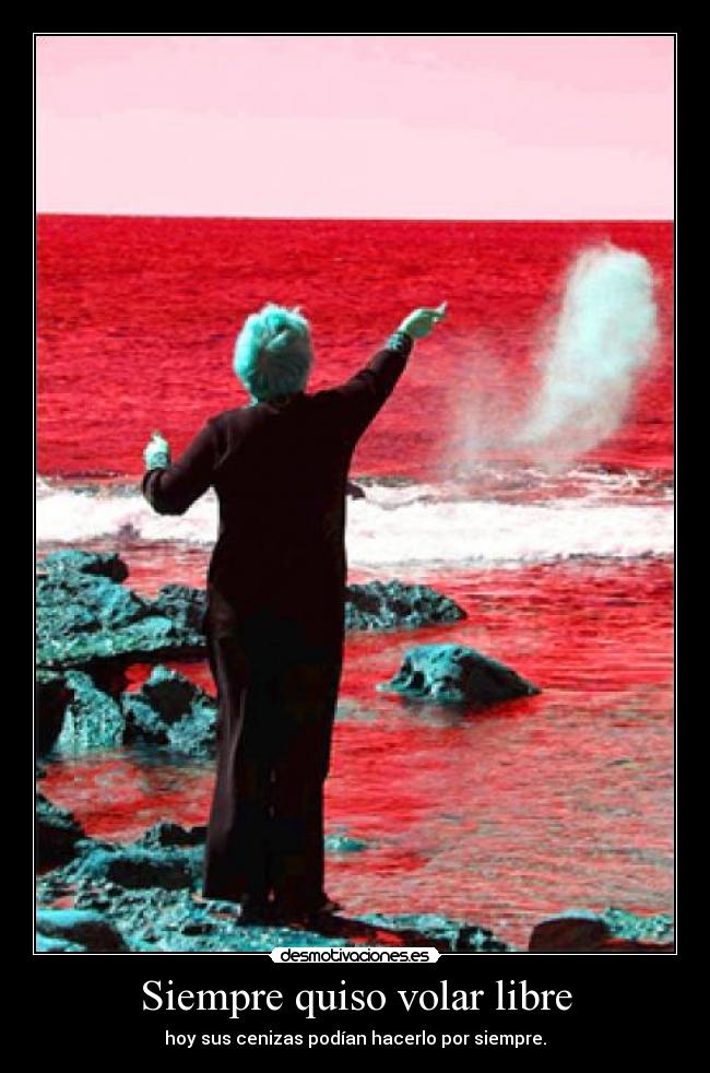 Siempre quiso volar libre -