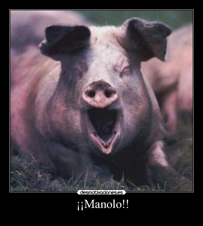 carteles sdsdsdsdasfwsfhdb desmotivaciones