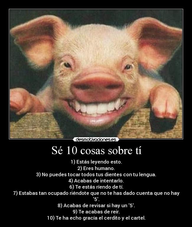 Sé 10 cosas sobre tí - 1) Estás leyendo esto.
2) Eres humano.
3) No puedes tocar todos tus dientes con tu lengua.
4) Acabas de intentarlo.
6) Te estás ríendo de tí.
7) Estabas tan ocupado riéndote que no te has dado cuenta que no hay 5.
8) Acabas de revisar si hay un 5.
9) Te acabas de reir.
10) Te ha echo gracía el cerdito y el cartel.