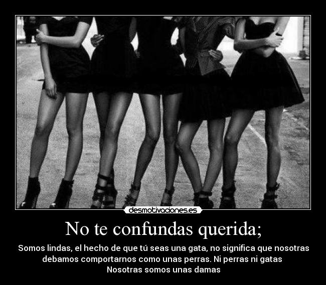 No te confundas querida; - Somos lindas, el hecho de que tú seas una gata, no significa que nosotras
debamos comportarnos como unas perras. Ni perras ni gatas
Nosotras somos unas damas