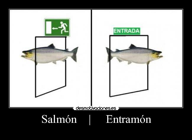 Salmón    |     Entramón - 