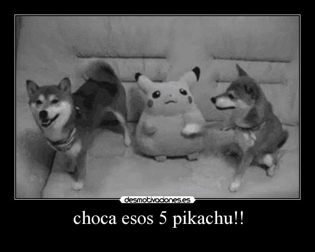 choca esos 5 pikachu!! -
