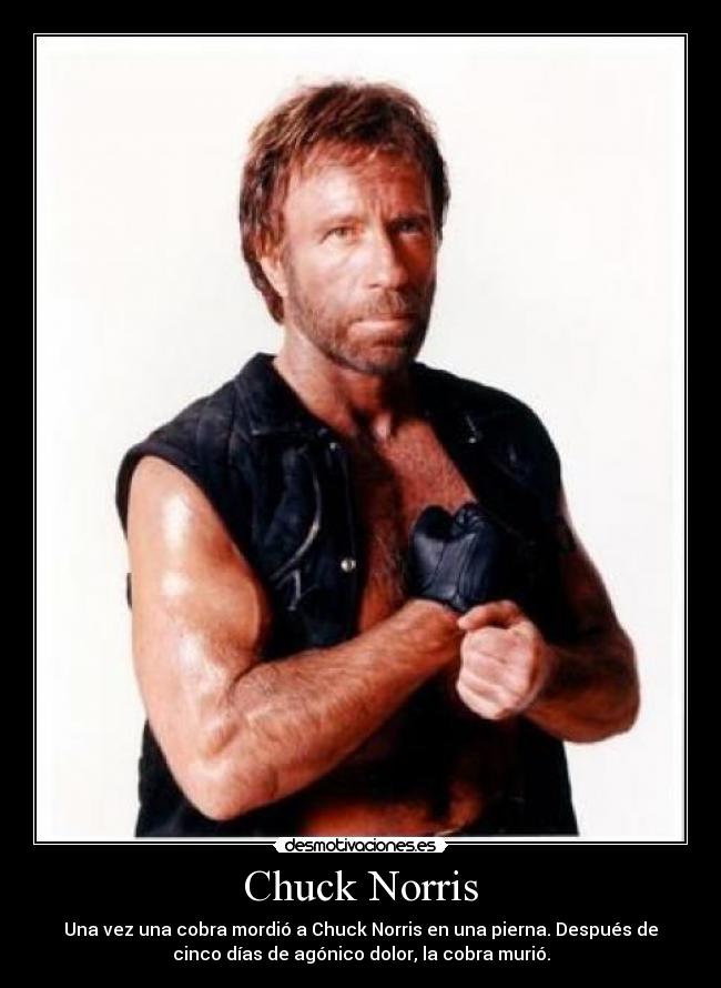 carteles chuck norris desmotivaciones