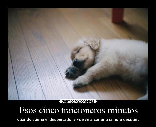 Esos cinco traicioneros minutos -