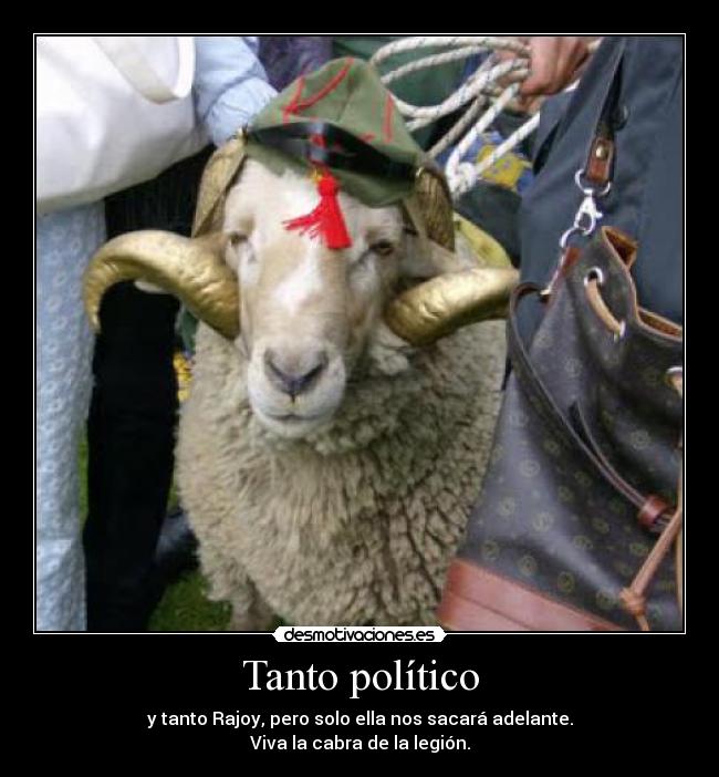 Tanto político - 