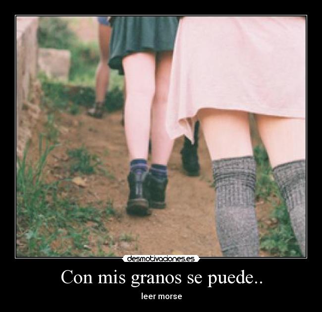 Con mis granos se puede.. - leer morse