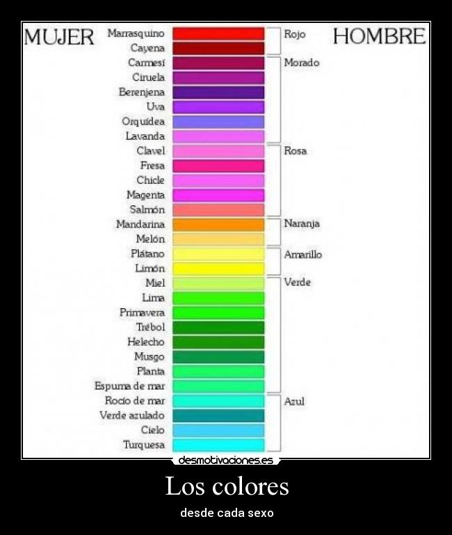 Los colores -