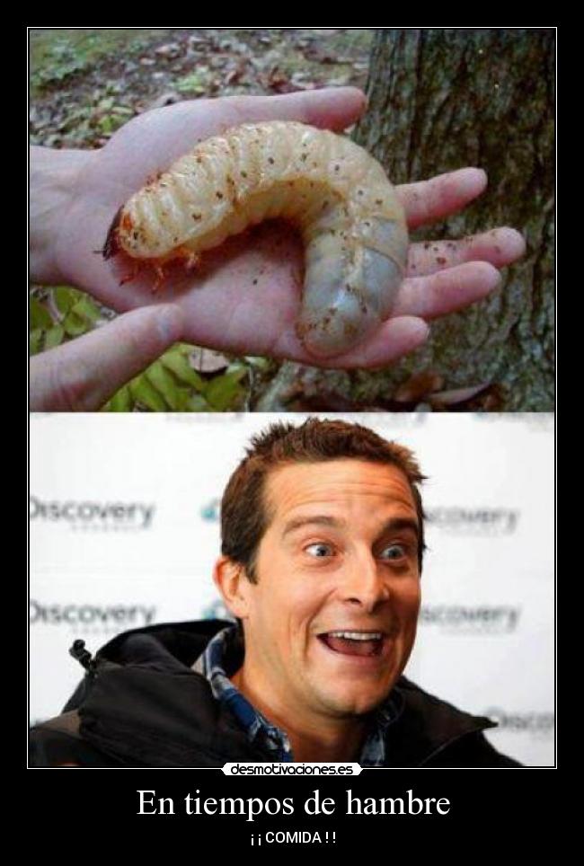 En tiempos de hambre - ¡ ¡ COMIDA ! !