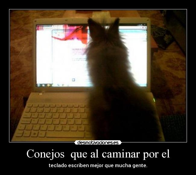 Conejos  que al caminar por el - teclado escriben mejor que mucha gente.