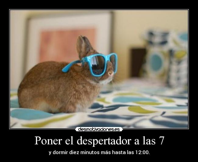 Poner el despertador a las 7 - y dormir diez minutos más hasta las 12:00.