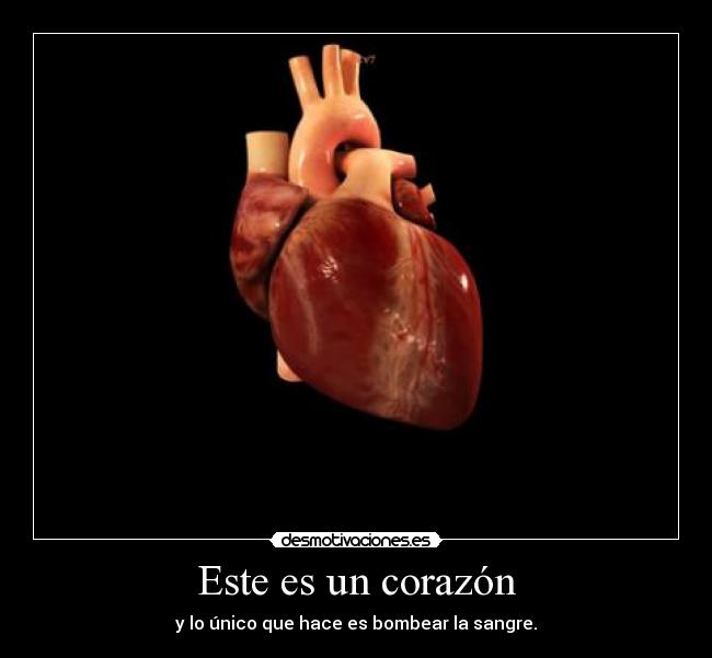 Este es un corazón -