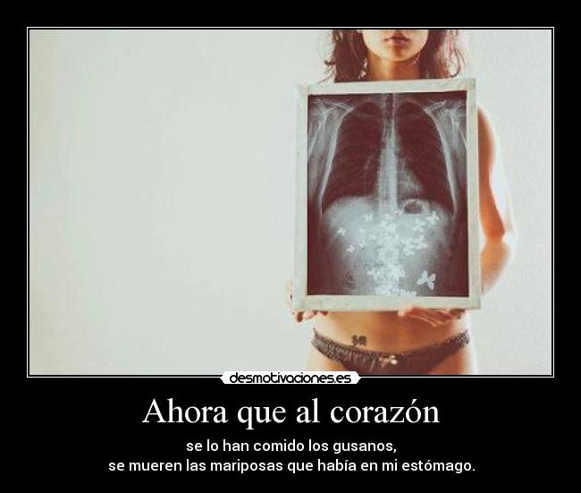 Ahora que al corazón - se lo han comido los gusanos,
se mueren las mariposas que había en mi estómago.