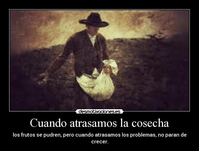 Cuando atrasamos la cosecha -