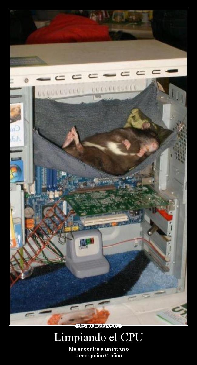 Limpiando el CPU - Me encontré a un intruso
Descripción Gráfica