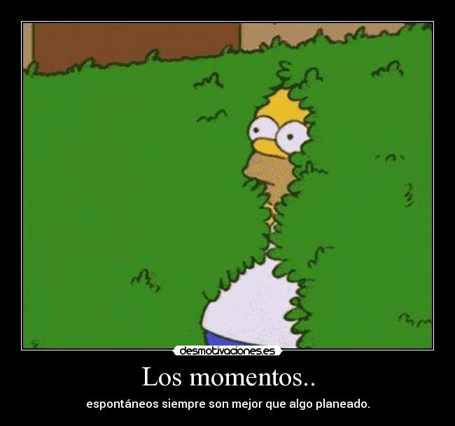 Los momentos.. - 