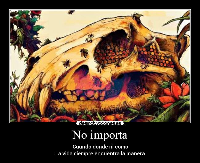 No importa - Cuando donde ni como
La vida siempre encuentra la manera