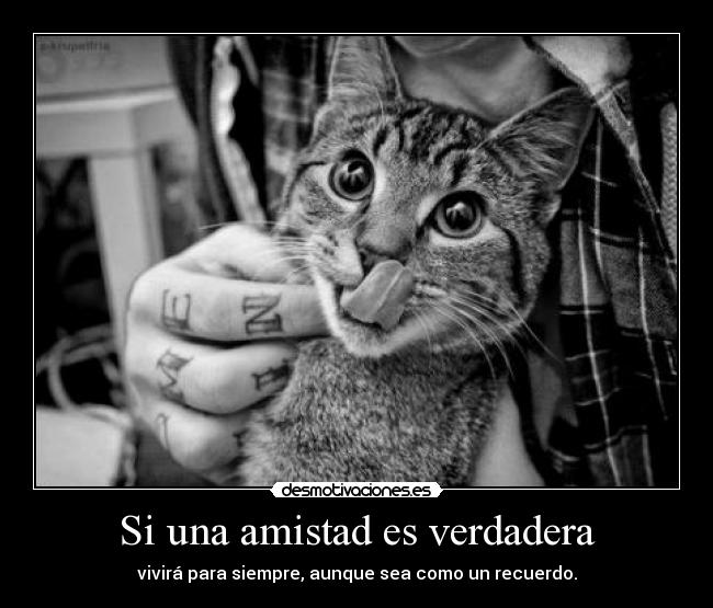 Si una amistad es verdadera - vivirá para siempre, aunque sea como un recuerdo.