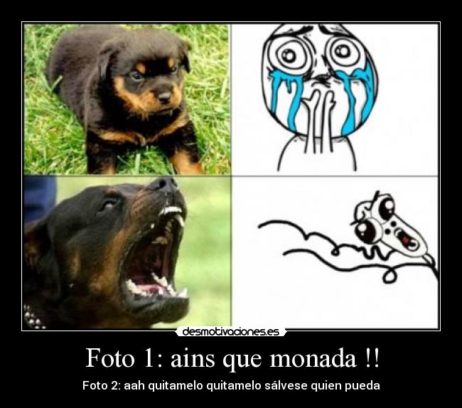 Foto 1: ains que monada !! - Foto 2: aah quitamelo quitamelo sálvese quien pueda