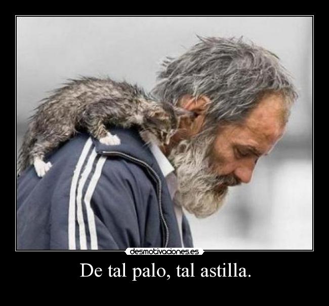 De tal palo, tal astilla. - 