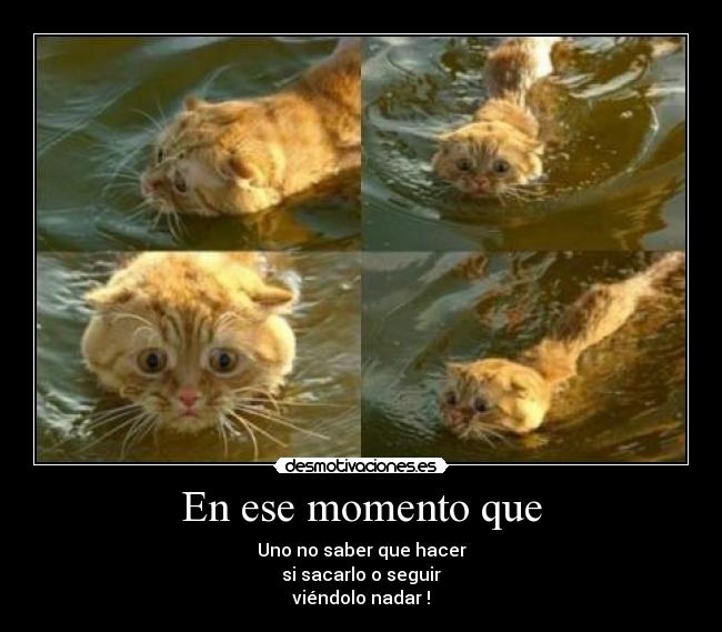En ese momento que - Uno no saber que hacer
si sacarlo o seguir
viéndolo nadar !