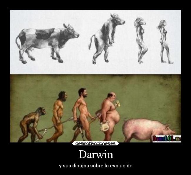 Darwin - y sus dibujos sobre la evolución