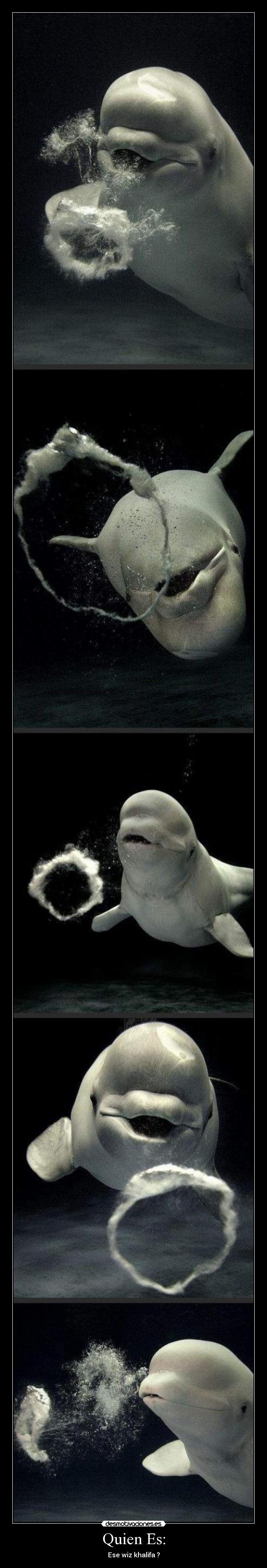Quien Es: - Ese wiz khalifa ?
