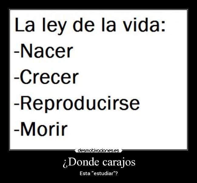 ¿Donde carajos - Esta estudiar?