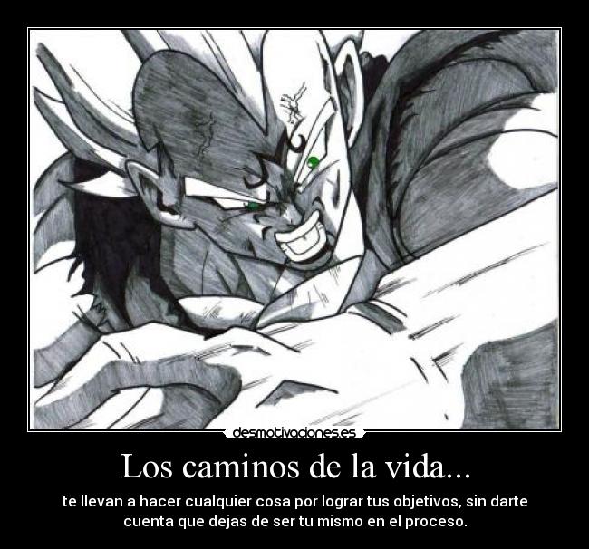 carteles vida anime dragonballz los caminos vida suikyou desmotivaciones