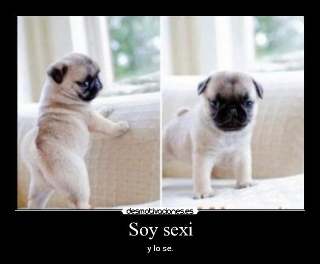 Soy sexi - y lo se.
